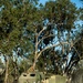 U.S. Marines prepare to conduct a HIMARS live-fire during Exercise Talisman Sabre 21