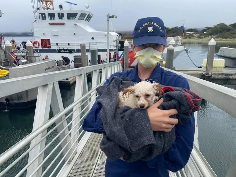 Coast Guard, partner agencies rescue man and 6 dogs, continue response to fuel spill near Tomales Point