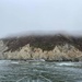 Coast Guard, partner agencies rescue man and 6 dogs, continue response to fuel spill near Tomales Point