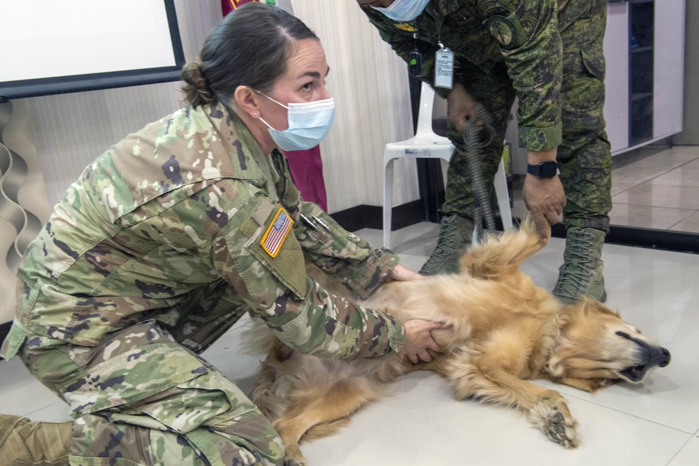 Pacific Partnership, now in its 16th iteration, brings nations together to prepare during calm periods to effectively respond in times of crisis.
