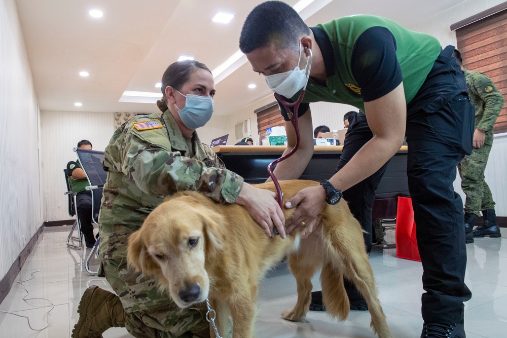 Pacific Partnership, now in its 16th iteration, brings nations together to prepare during calm periods to effectively respond in times of crisis.