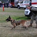 NASWI Participates in Oak Harbor National Night Out