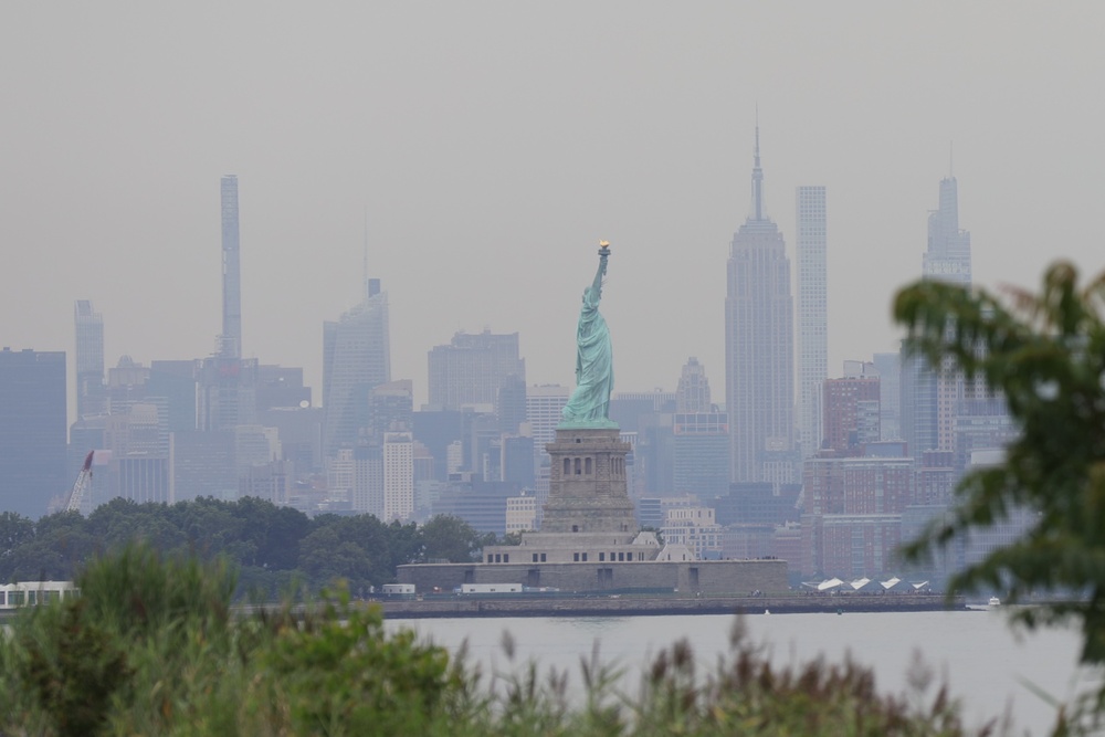 Dense Urban Terrain NYC 2021