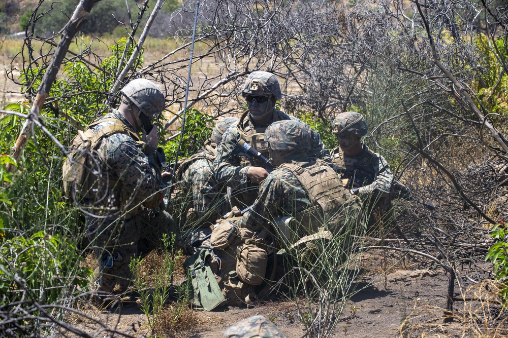 4th MarDiv Marines compete during rifle squad competition