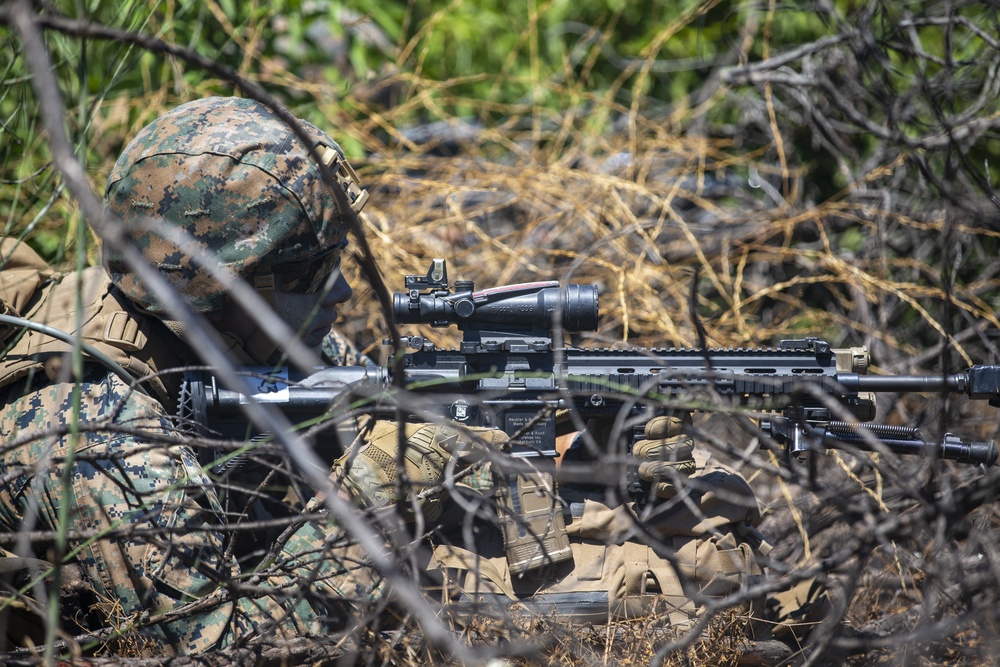 4th MarDiv Marines compete during rifle squad competition