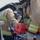 Fire and Emergency Services conducts vehicle extrication training