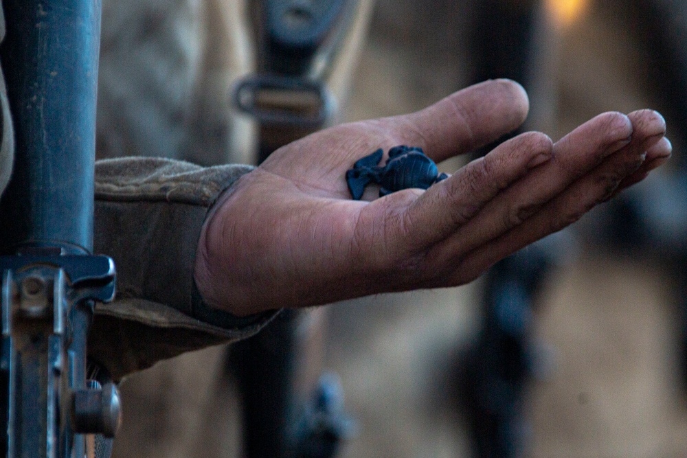 Witnessing the Transformation