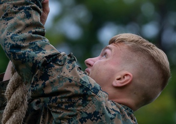 1/2 Completes Physical Assessment