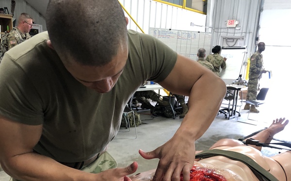 Regional Medic Effects and Enablers Team