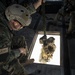 US Marines conduct helicopter rope suspension techniques aboard MCBH