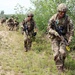 British Parachute Regiment train in Michigan