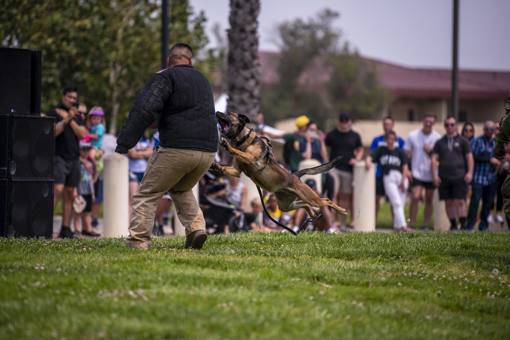 Travis AFB holds end of summer event, encourages togetherness