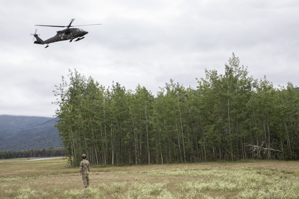 Over the tree line