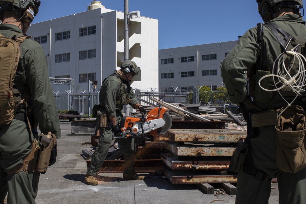 Special reaction team cut into training