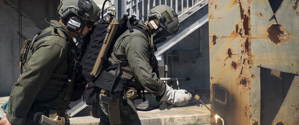 Special reaction team cut into training