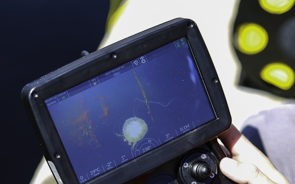 NNSY Uses Innovative Underwater ROV Technology for Inspections