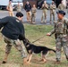 Ramstein MWDs bite back