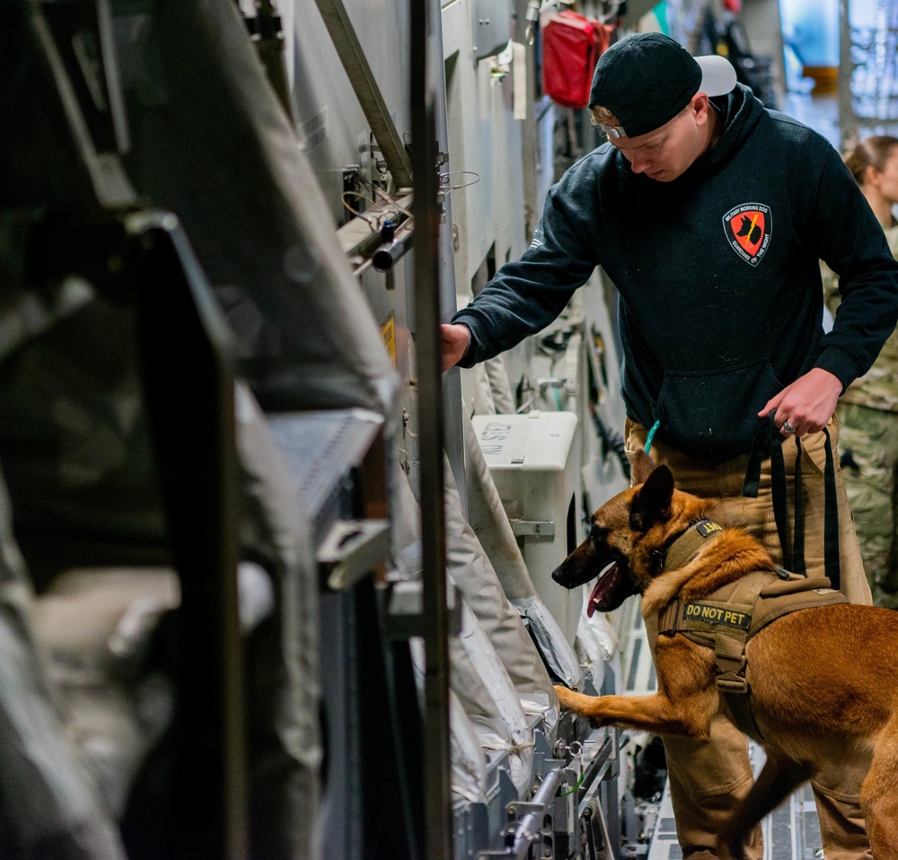 Ramstein MWDs bite back