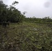 Task Force Koa Moana 21 Marines Assist the Local People of Palau in Cleaning Lake Ngardok