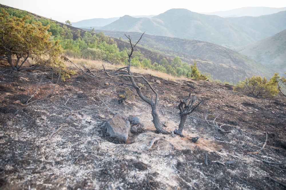 KFOR RC-E in Kosovo Assists Wildfire Suppression Near Leposavic