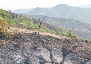 KFOR RC-E in Kosovo Assists Wildfire Suppression Near Leposavic