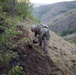 KFOR RC-E in Kosovo Assists Wildfire Suppression Near Leposavic