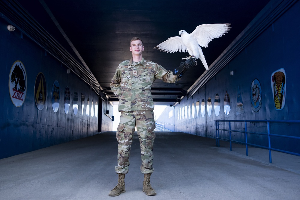 USAFA Falconry