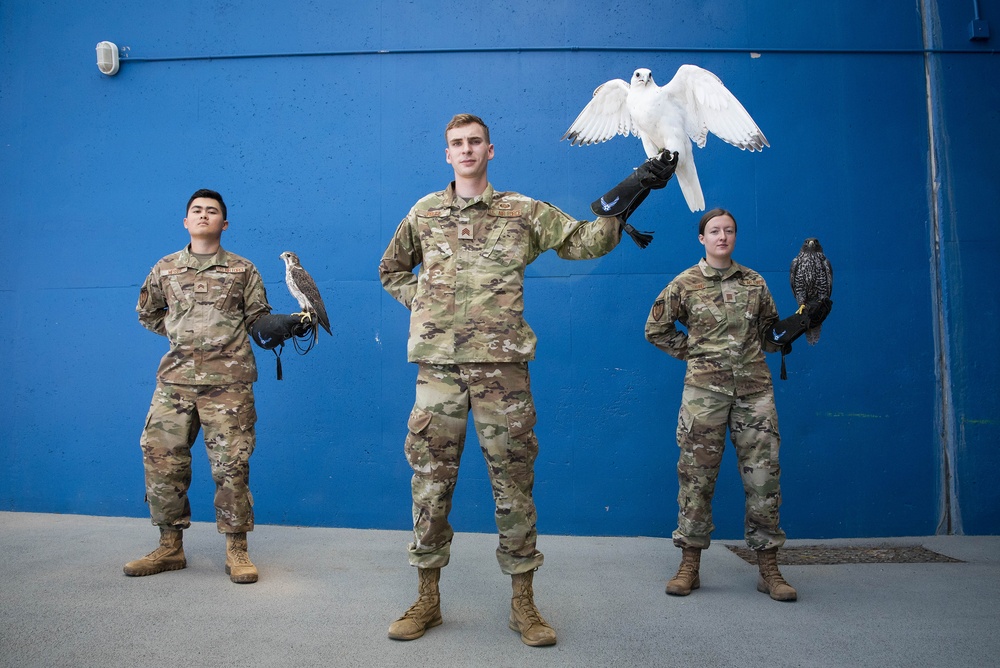 USAFA Falconry