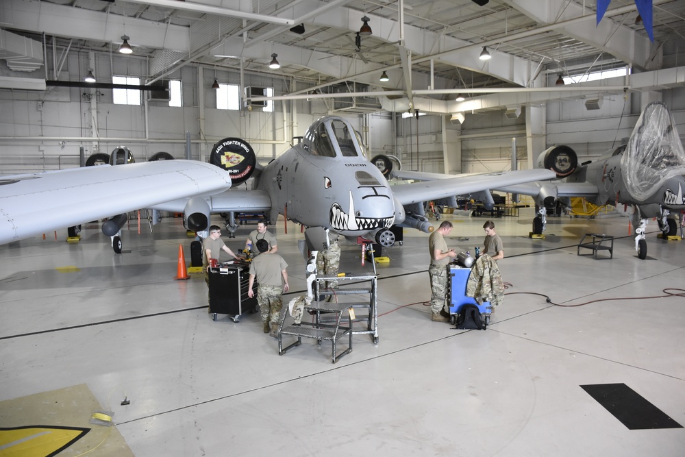 442d Maintenance Group performs daily maintenance operations on the A-10 Thunderbolt II
