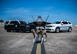 Integrated defense; Florida Highway Patrol and the 325th Security Forces Squadron