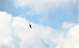 F-16 Fighting Falcon flies over Fort McCoy for Northern Lightning exercise