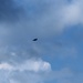 F-16 Fighting Falcon flies over Fort McCoy for Northern Lightning exercise