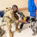 Battlebuddies: Brightening People’s Day one paw at a time