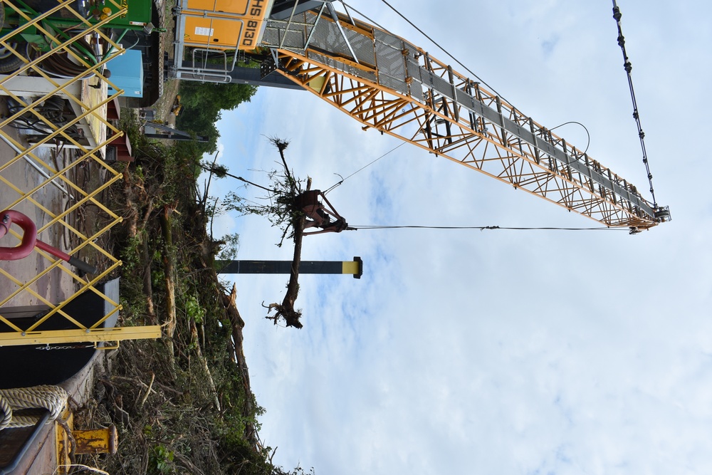 Clearing and Snagging Leads Memphis District Revetment