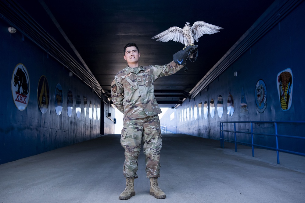 USAFA Falconry