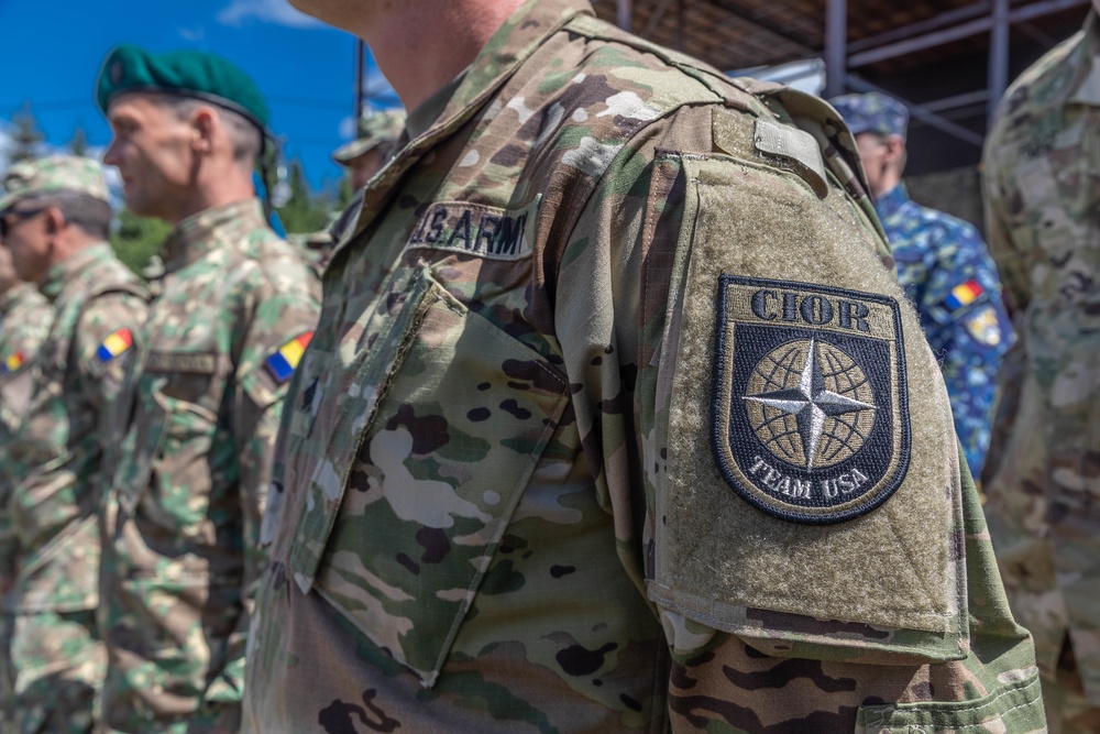 American and Romanian reserve service members stand in formation