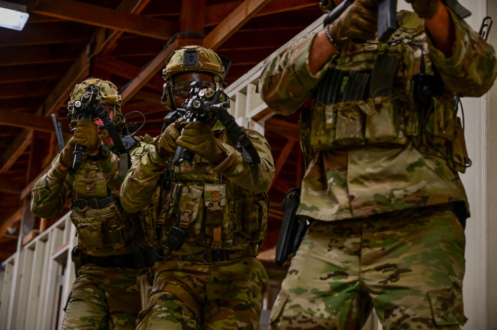 Illinois Air National Guard, 126th Security Forces Squadron Train at Camp San Luis Obispo, California