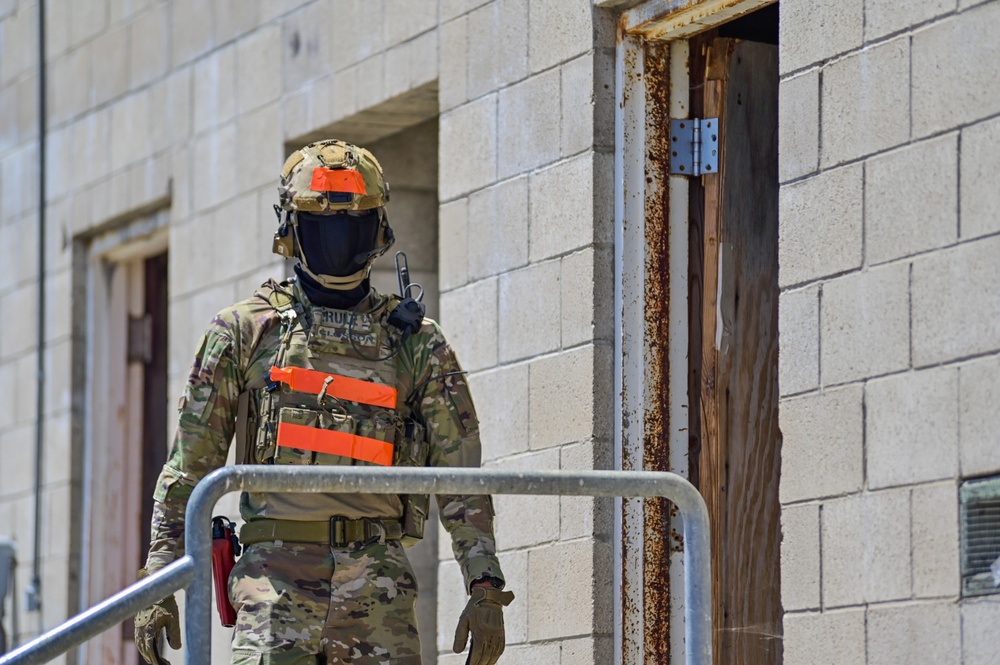 Illinois Air National Guard, 126th Security Forces Squadron Train at Camp San Luis Obispo, California