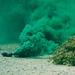 Illinois Air National Guard, 126th Security Forces Squadron Train at Camp San Luis Obispo, California