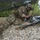 U.S. Army Europe and Africa Best Warrior Competition 2021