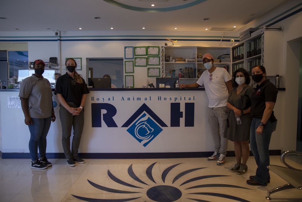 Army Veterinarians visit Kuwait facilities