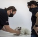 Army Veterinarians visit Kuwait facilities