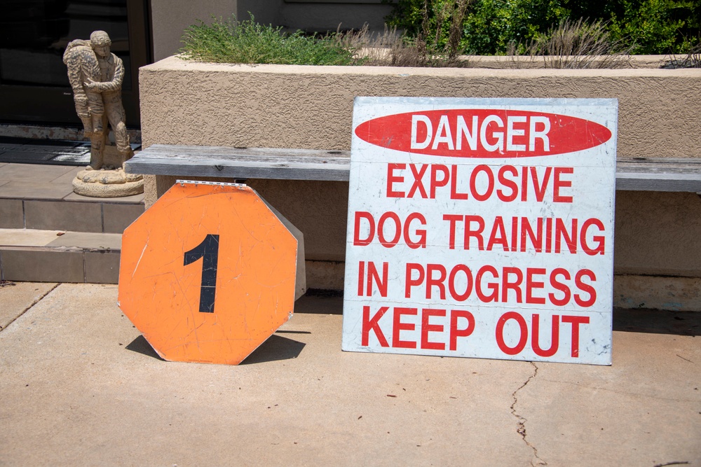 Military Working Dog certification: SSgt Turner, Bess