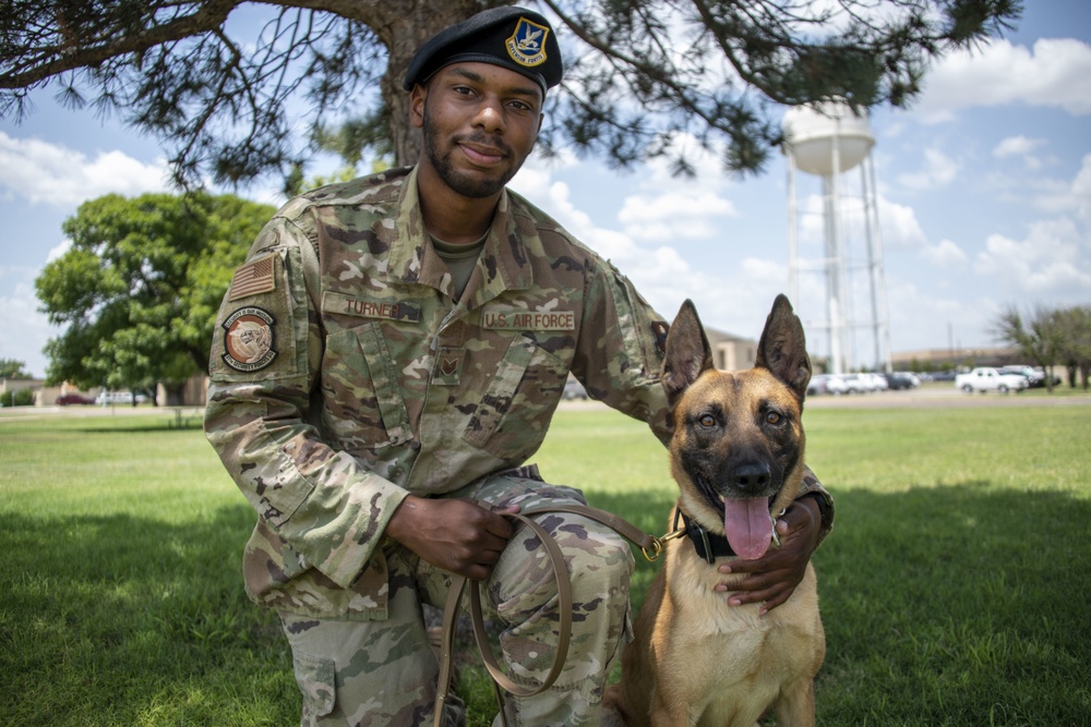 Military Working Dog certification: SSgt Turner, Bess