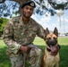 Military Working Dog certification: SSgt Turner, Bess