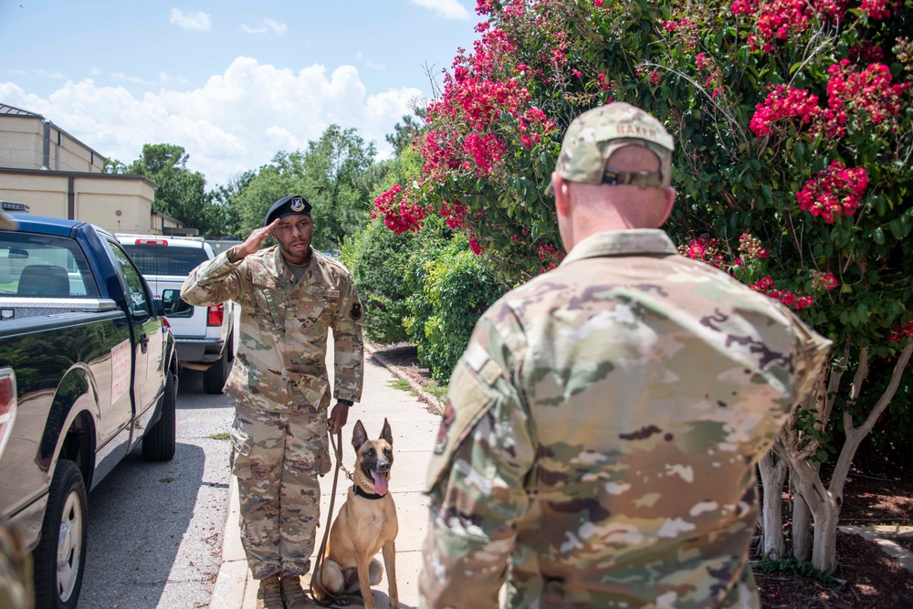 Military Working Dog certification: SSgt Turner, Bess