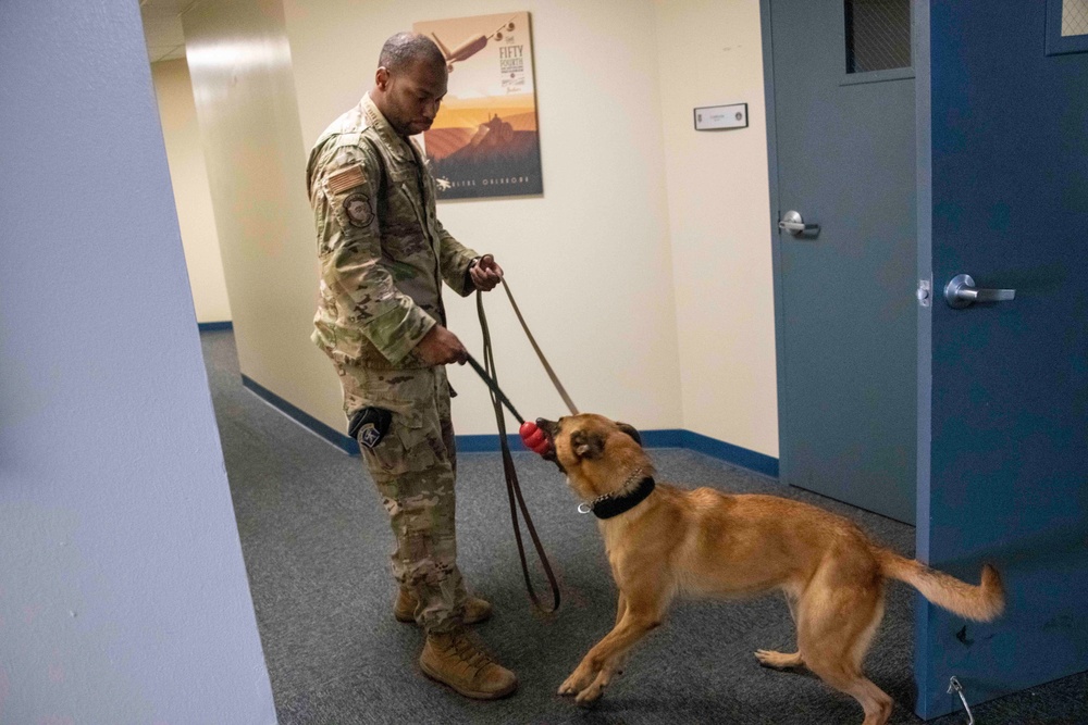 Military Working Dog certification: SSgt Turner, Bess