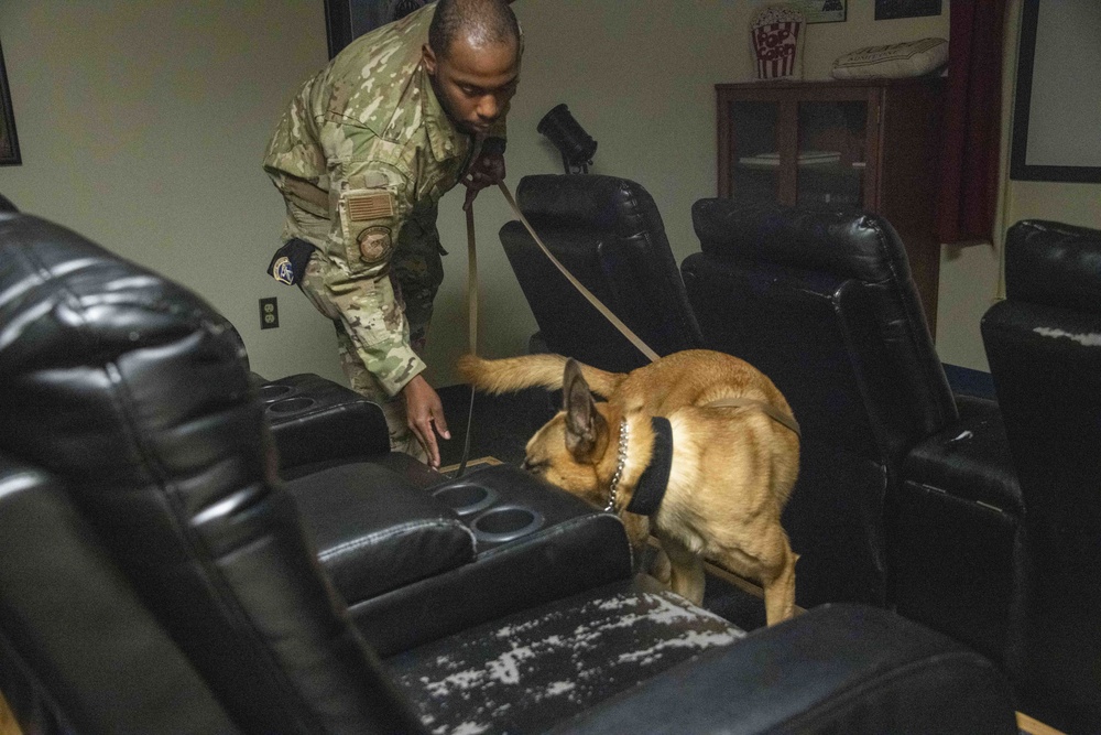 Military Working Dog certification: SSgt Turner, Bess