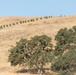 California State Guard Fire Training