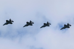 Gorillas Take Alaska